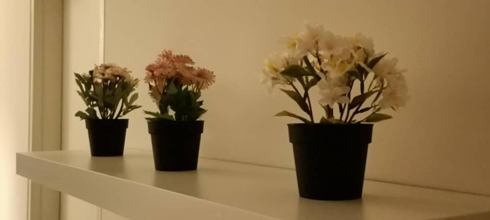 Cozy Studio Unit,Cyberjaya,Wifi, Netflix,Free Parking מראה חיצוני תמונה